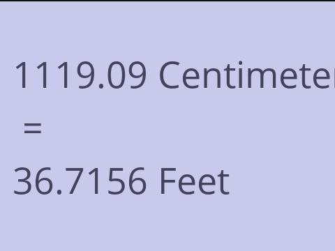 1119.09 CM TO FEET