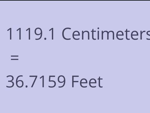 1119.1 CM TO FEET