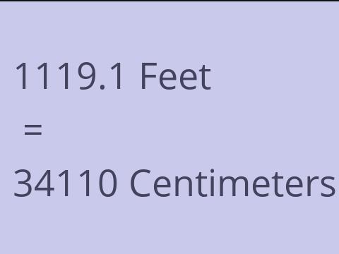 1119.1 FEET TO CM