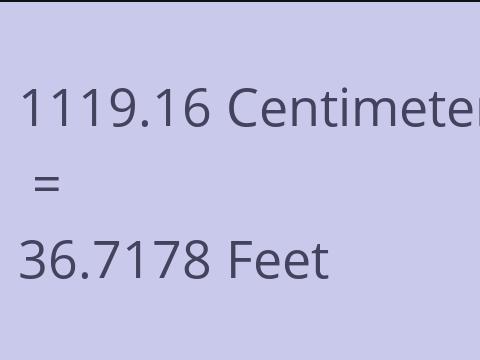 1119.16 CM TO FEET