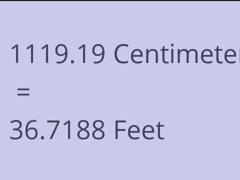 1119.19 CM TO FEET