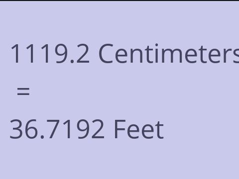 1119.2 CM TO FEET