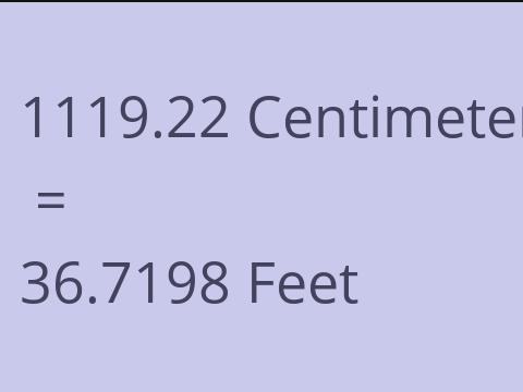 1119.22 CM TO FEET