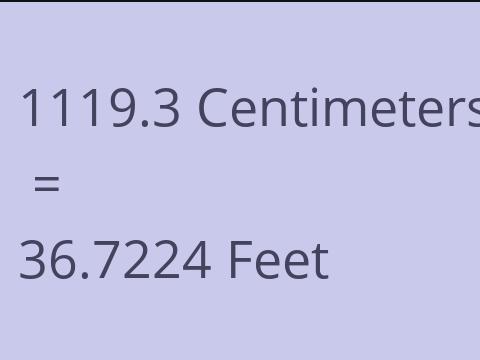 1119.3 CM TO FEET