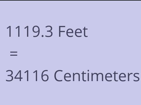 1119.3 FEET TO CM