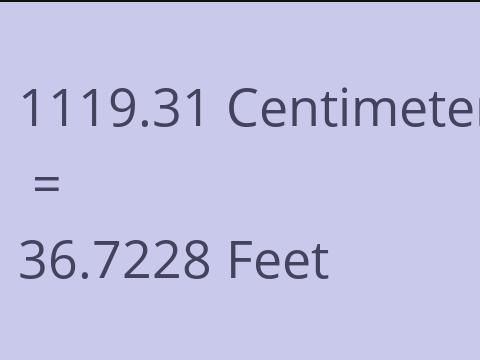 1119.31 CM TO FEET