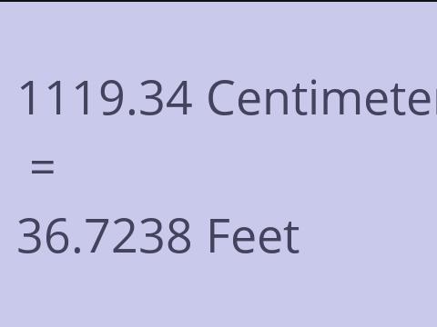 1119.34 CM TO FEET