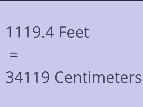 1119.4 FEET TO CM