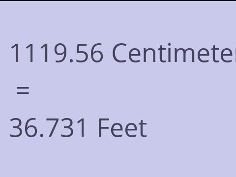 1119.56 CM TO FEET