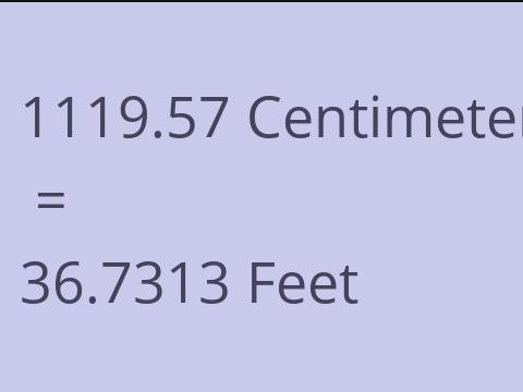 1119.57 CM TO FEET