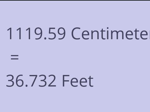 1119.59 CM TO FEET