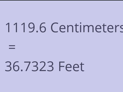 1119.6 CM TO FEET