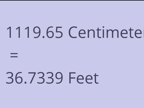 1119.65 CM TO FEET