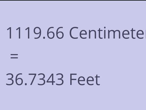 1119.66 CM TO FEET