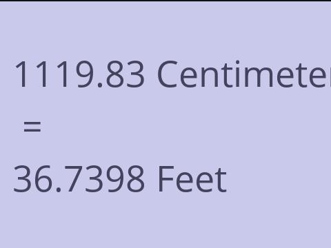 1119.83 CM TO FEET