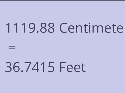 1119.88 CM TO FEET