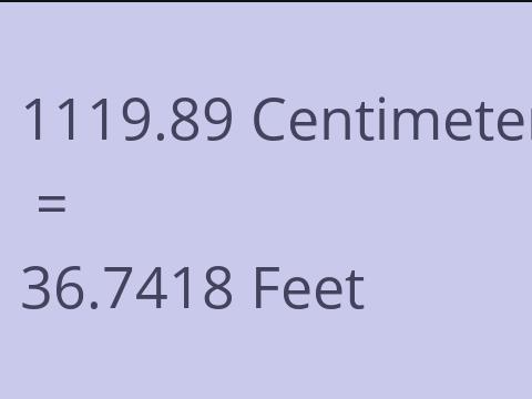 1119.89 CM TO FEET