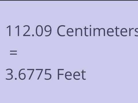 112.09 CM TO FEET