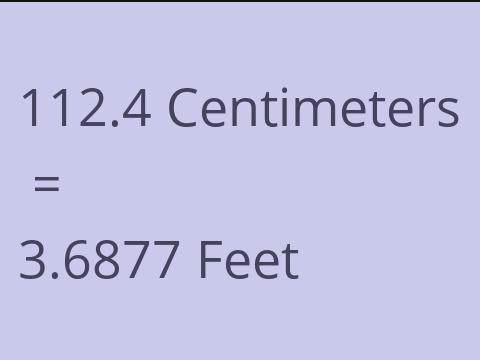 112.4 CM TO FEET