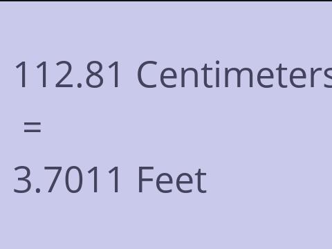 112.81 CM TO FEET