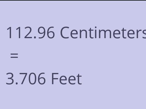 112.96 CM TO FEET