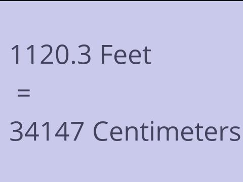 1120.3 FEET TO CM