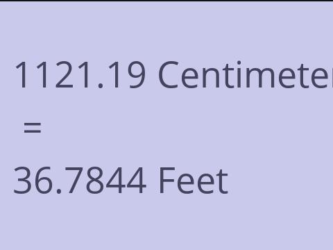 1121.19 CM TO FEET