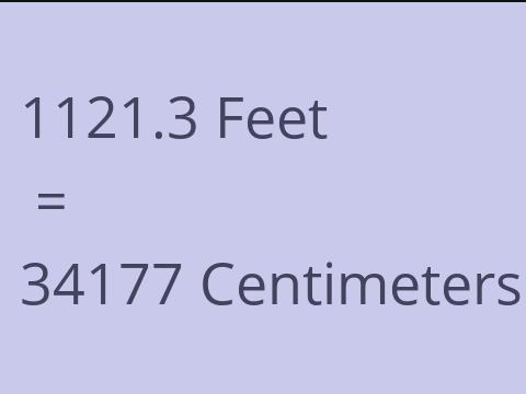 1121.3 FEET TO CM