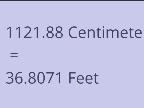 1121.88 CM TO FEET