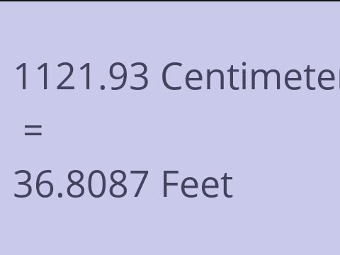 1121.93 CM TO FEET