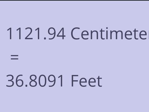 1121.94 CM TO FEET