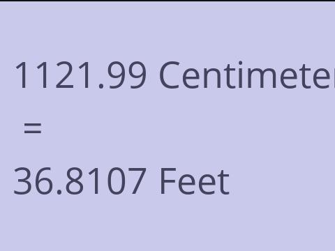 1121.99 CM TO FEET