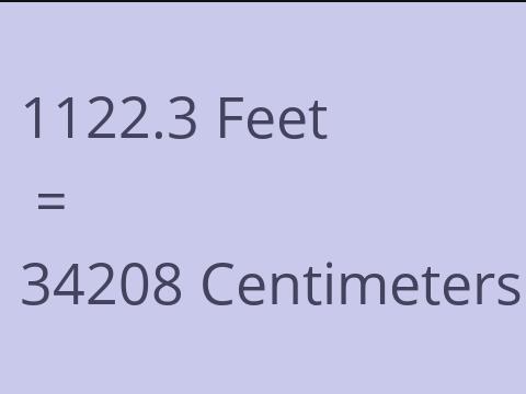 1122.3 FEET TO CM