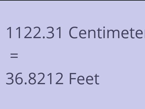 1122.31 CM TO FEET