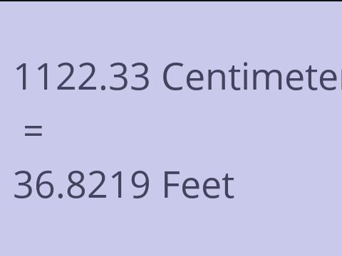 1122.33 CM TO FEET