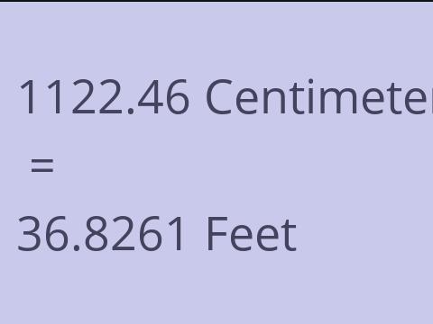 1122.46 CM TO FEET