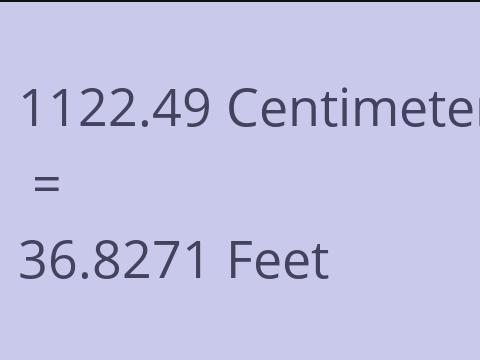 1122.49 CM TO FEET