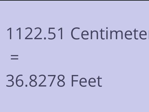 1122.51 CM TO FEET