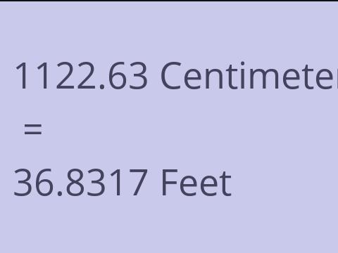 1122.63 CM TO FEET