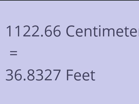 1122.66 CM TO FEET