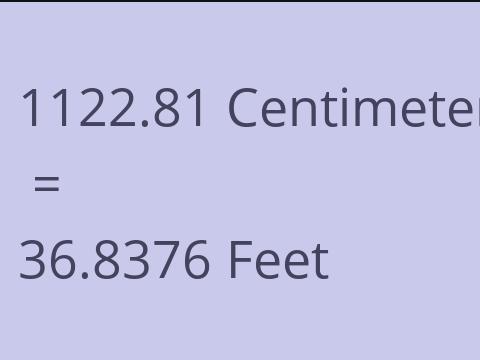 1122.81 CM TO FEET