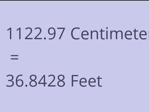 1122.97 CM TO FEET