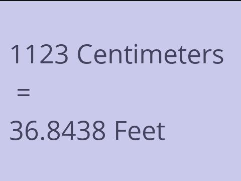 1123 CM TO FEET