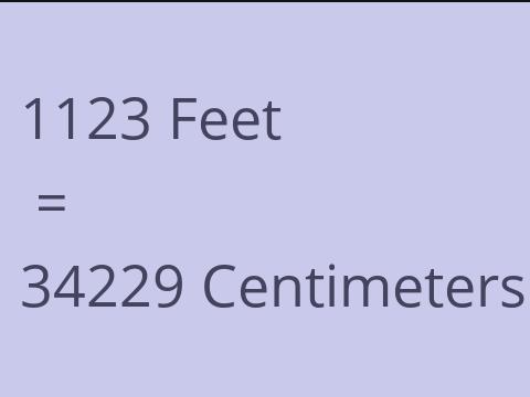 1123 FEET TO CM