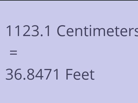 1123.1 CM TO FEET