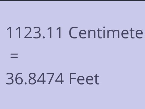 1123.11 CM TO FEET