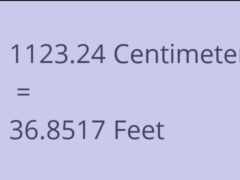 1123.24 CM TO FEET