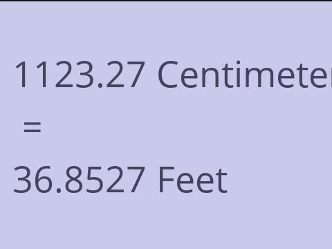 1123.27 CM TO FEET