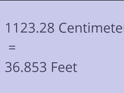 1123.28 CM TO FEET