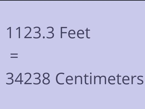 1123.3 FEET TO CM